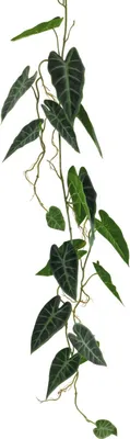 Produktbild von artplants.de Künstliche Girlande Alocasia Sanderiana NAZIHE, grün, 105 cm - Deko Girlande