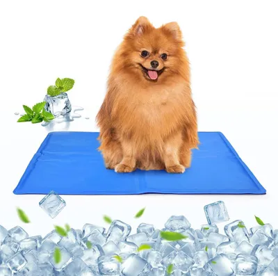 Immagine prodotto di Tappetino refrigerante per cani, autorigenerante, con gel refrigerante, dimensioni 65 x 50 cm