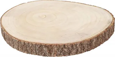 Holzscheibe Baumscheibe Deko Hochzeit 1 Stück 34 cm x 3,5 cm Tisch-Deko Geburtstag Sommer-Party Mottoparty DIY Dekoration