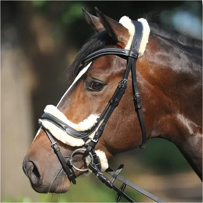 Produktbild von Kavalkade Trense Ivy Lammfell englisch-kombiniert Schwarz Warmblut