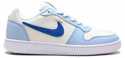 Image de Chaussures Nike Ebernon hj3490141