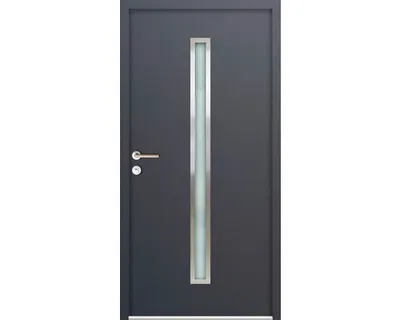Obrázok produktu pre Vchodové dvere vedľajšie Steel Standart 01 900 x 2000 mm ľavé antracit