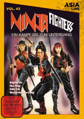 Obrázek produktu pro Ninja Fighters