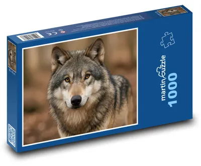 Zdjęcie produktu dla martinpuzzle - Puzzle 1000 elementów - Wilk