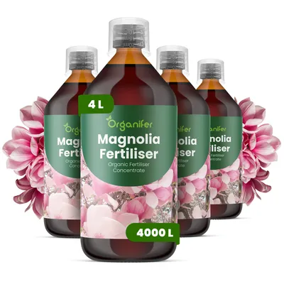 Produktbild von Magnolien Flüssigdünger 4x1L – 3-4-3 NPK – Flüssig-Pflanzendünger für Gartenmagnolien, Zierbäume & Kübelpflanzen – Organifer