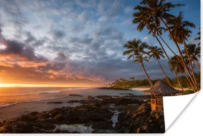 Produktbild von MuchoWow® Poster Sonnenuntergang - Palme - Strand 30x20 cm - Plakate - Print