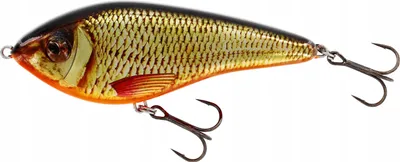 Obrázek produktu pro Westin Swim Glidebait Silent 12cm 62gr Sinking Real Rudd