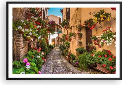 Produktbild von Gerahmtes Poster - Schwarzer Rahmen - Path Blumen Haus Hof - 91,5x61 cm - Wand Bild - Wanddeko - Wandbilder - Kunstposter - Wandposter - Bilderrahmen - Bilder - Kunstdruck - Wandbild - P2BAA91x61-3183