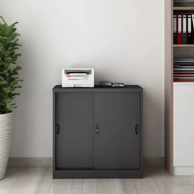 A dark gray metal filing cabinet with sliding doors is shown in an office setting, with a printer on top and a potted plant to the left.