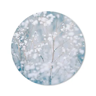Produktbild von MuchoWow® Mauspad Mousepad Äste - Schnee - Winter - Natur - Botanisch 30x30 cm - Mousepads - Maus Mat - Pad - Mausunterlage - Tischunterlage - Schreibtischmatten