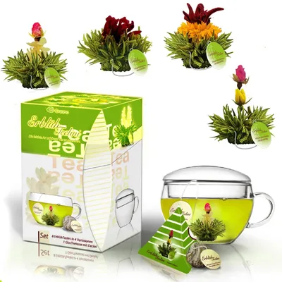 Produktbild von Creano ErblühTeelini Teeblumen Geschenkset mit Teeglas und 8 Teeblumen im Tassenformat, grüner Tee, Geschenk