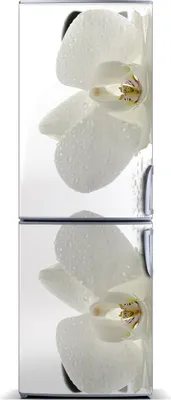 Produktbild von Tulup Kühlschrankdekoration - Magnetmatte - 70 cm x 190 cm - Magnet auf dem Kühlschrank - Orchidee Und