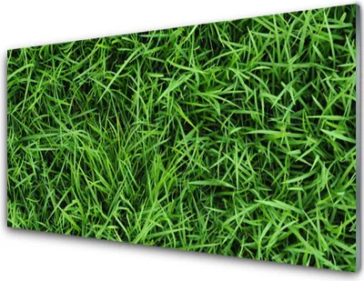 Produktbild von Acrylglasbilder 100x50 Wandbild Druck Gras Rasen Pflanzen