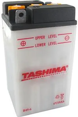 Image de Batterie Plomb Tashima 6v 8ah Batterie Plomb 6v 8ah, + à Gauche - Générique