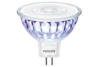 A close-up studio shot of a Philips LED light bulb.
