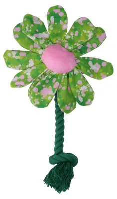 Image de Garden Paws Fleur d'été Arbustes M