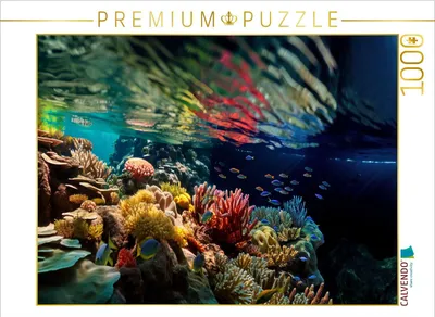 Produktbild von CALVENDO Puzzle Korallenriff unter der Wasseroberfläche | 1000 Teile Lege-Größe 64x48cm Foto-Puzzle für glückliche Stunden
