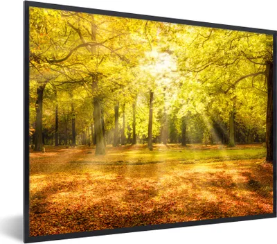 Produktbild von MuchoWow® Gerahmtes Poster Baum - Natur - Sonne - Landschaft - Wald 40x30 cm - Poster mit Schwarzem Bilderrahmen Wandposter Rahmen Foto Bilder - Kunstposter - Wanddekorationen