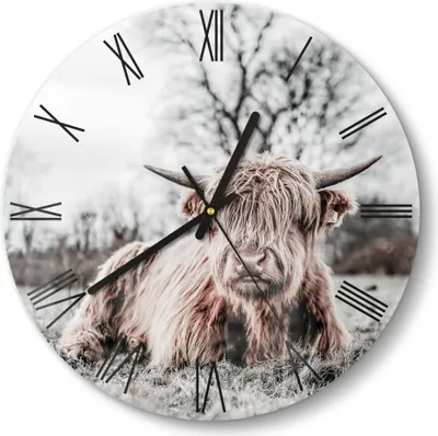 Produktbild von DEQORI Glasuhr Ø30 cm Römisch 'Ruhendes Hochland' Wanduhr Glas Uhr Design leise Küchenuhr