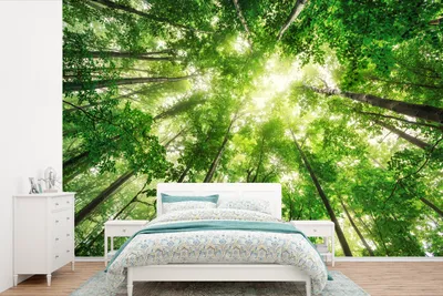 Produktbild von MuchoWow® Fototapete für Wohnzimmer oder Schlafzimmer Wandtapete Vinyl Motivtapete Wald - Sonne - Baum - 450x300 cm - Gemusterte