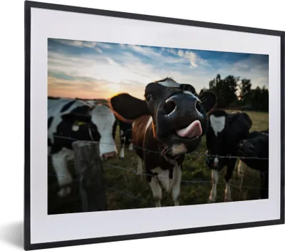 Produktbild von MuchoWow® Gerahmtes Poster Kuh - Tiere - Natur - Ausgezeichnete Zunge 40x30 cm - Poster mit Schwarzem Bilderrahmen Wandposter Rahmen Foto Bilder - Bilderrahmen - Poster im Rahmen