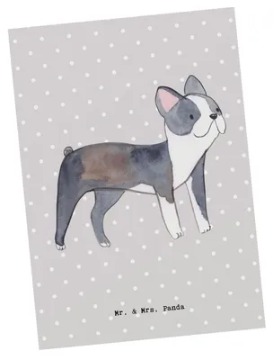 Produktbild von Mr. & Mrs. Panda Postkarte Boston Terrier Lebensretter - Grau Pastell - Geschenk, Grußkarte, Ansichtskarten, Ansichtskarte, Postkarten, bildkarte