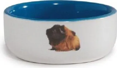 Produktbild von Beeztees - Meerschweinchennapf - Keramik - blau - Durchm. 10 cm