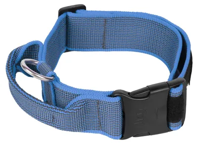 Produktbild von JULIUS K-9 200HA-K-B-2015 Color & Gray series- K9-Halsband mit Haltegriff, Siche