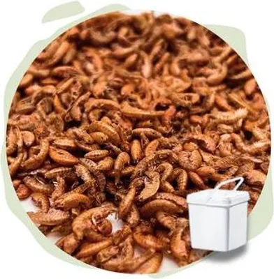 Produktbild von NATURHÄPPCHEN Gammarus Bachflohkrebse - 5000 ml im Eimer