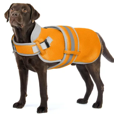 Hunde-Kühlweste, atmungsaktiv, verstellbar, reflektierend, Orange, 2XL