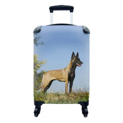 Produktbild von MuchoWow® Koffer Handgepäck Trolley Rollkoffer Kleine Reisekoffer mit 4 Rollen - Blauer Himmel über dem Malinois-Schäferhund - Cabin Size < 55x40x23 cm & 55x40x20 cm - Fotokoffer - Kabinenkoffer - Boardgepäck - Reise-Box - Reisekoffer - Reisegepäck - Koffer mit Bild - Trolley für Kinder