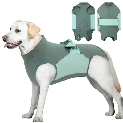 Produktbild von Hundebody für die Rehabilitation nach Operationen