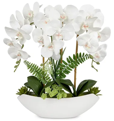 Produktbild von Kunstpflanzen Orchideen in Weißer Keramiktöpfen für Wohnkultur