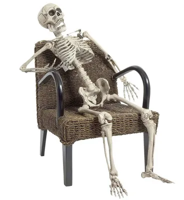 Produktbild von Realistisches Skelett Halloween-Deko weiss 160cm - Einheitsgröße