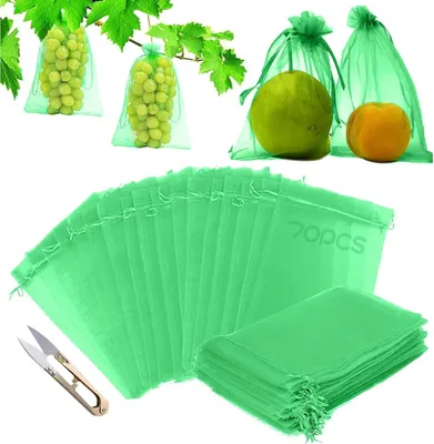Image de 70x Sacs de protection pour les fruits Sacs de protection à cordon transparent 20x30CM