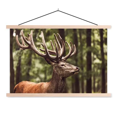 Produktbild von MuchoWow® Textilposter Hirsch - Natur - Geweih - Wald - Tiere 60x40 cm mit holzfarbenen Rahmen - Bilder