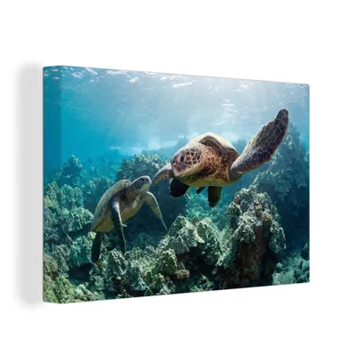 Obrázok produktu pre OneMillionCanvasses® - Maľba na plátne - Obraz na plátne Nástenná maľba na plátne - Dve morské korytnačky - 150x100cm - Fotografia na plátne - maľba