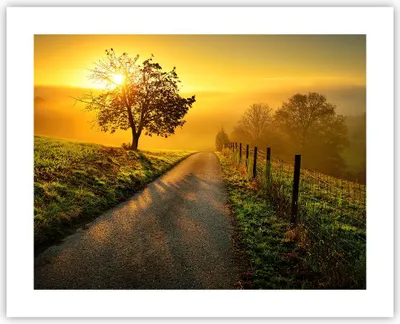 Produktbild von Poster - Poster ohne Rahmen - Feld Straße Baum - 50x40 cm - Wand Bild - Wanddeko - Wandbilder - Kunstposter - Wandposter - Bilder - Kunstdruck - Wanddekoration - Wandbild - P2XAA50x40-3851