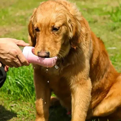 Immagine prodotto di Ultiluxe 2-in-1 ciotola per cibo e acqua - Rosa - 320 ml ciotola d'acqua - 179 ml ciotola per cibo - Per animali domestici in viaggio - Impermeabile -