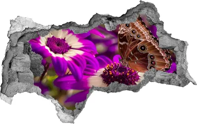 Produktbild von Selbstklebender Loch-3D-Aufkleber 95x73 cm Schmetterling auf einer Blume