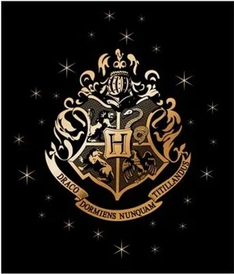 Zdjęcie produktu dla Selgros111 Koc Harry Potter Dla Chłopca, Miękki Polar, 120X150Cm