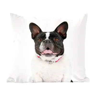 Produktbild von MuchoWow® Zierkissen Sofakissen Wohnzimmer Dekokissen 45x45 cm Französische Bulldogge - Schwarz - Weiß - Schlafpolster - Polster für das Sofa