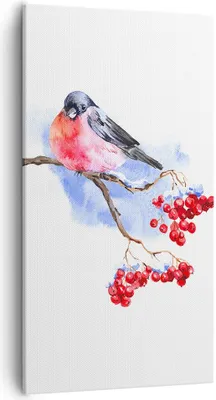 Produktbild von Bild auf Leinwand - Leinwandbild - Einteilig - Dompfaff auf Zweig - 55x100cm - Wand Bild - Wanddeko - Wandbilder - Leinwanddruck - Bilder - Wanddekoration - Leinwand bilder - Wandbild - PA55x100-4187