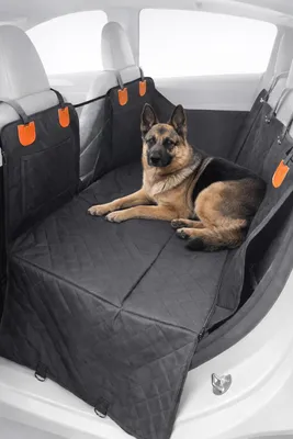 Produktbild von SIXTOL CAR KESSIE | Autoschondecke für Hund | wasserdicht | Rücksitzschutz | mit
