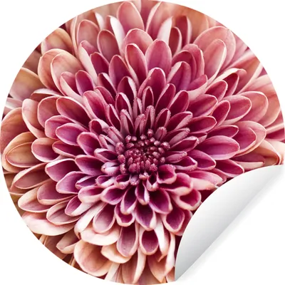 Produktbild von MuchoWow® - Wandbild - Fototapete - Selbstklebend - Dekoration - Wandschmuck - Schlafzimmer