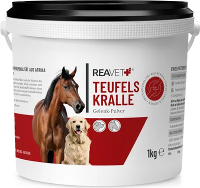 Produktbild von REAVET Afrikanische Teufelskralle Pferd 1kg – Naturrein in  – unterstützt Beweglichkeit + Gelenkfunktion I Teufelskrallen Pulver Gelenkpulver Ohne Zusätze