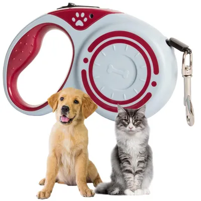Productafbeelding van Intrekbare hondenriem, tot 5 meter lang, met vergrendelknop, geschikt voor kleine/middelgrote honden