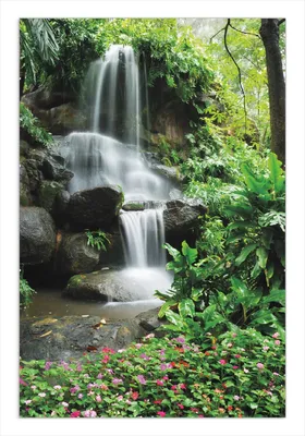 Produktbild von Wallario Wandbild Sturzbach im Grünen, Größe: 61 x 91,5 cm, Poster mit rahmenlosen Bildhalter