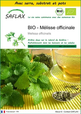 Image de SAFLAX Ensemble de culture -- Mélisse officinale - 1000 graines - Melissa