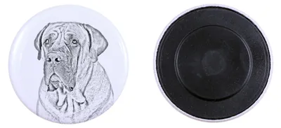 Image de Boerboel aimant avec petit chien Art-Dog